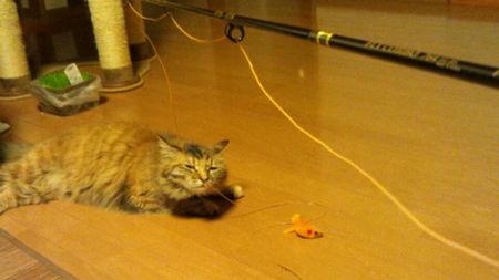 20130516_015600.jpg