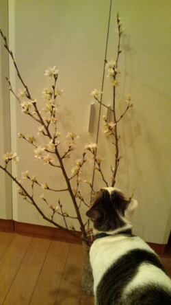 20140104_212910.jpg 20140104_212910.jpg