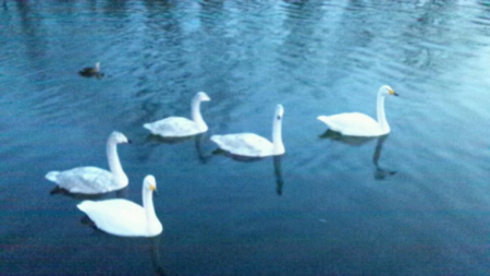20140104_212910.jpg 20140104_212910.jpg