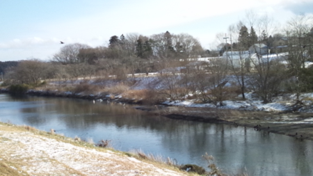 DSC_2303.JPG DSC_2303.JPG