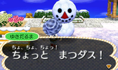 HNI_0029 HNI_0029