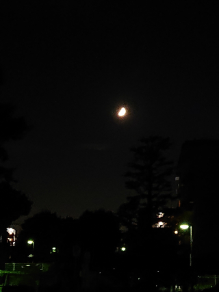 DSC_0917.JPG